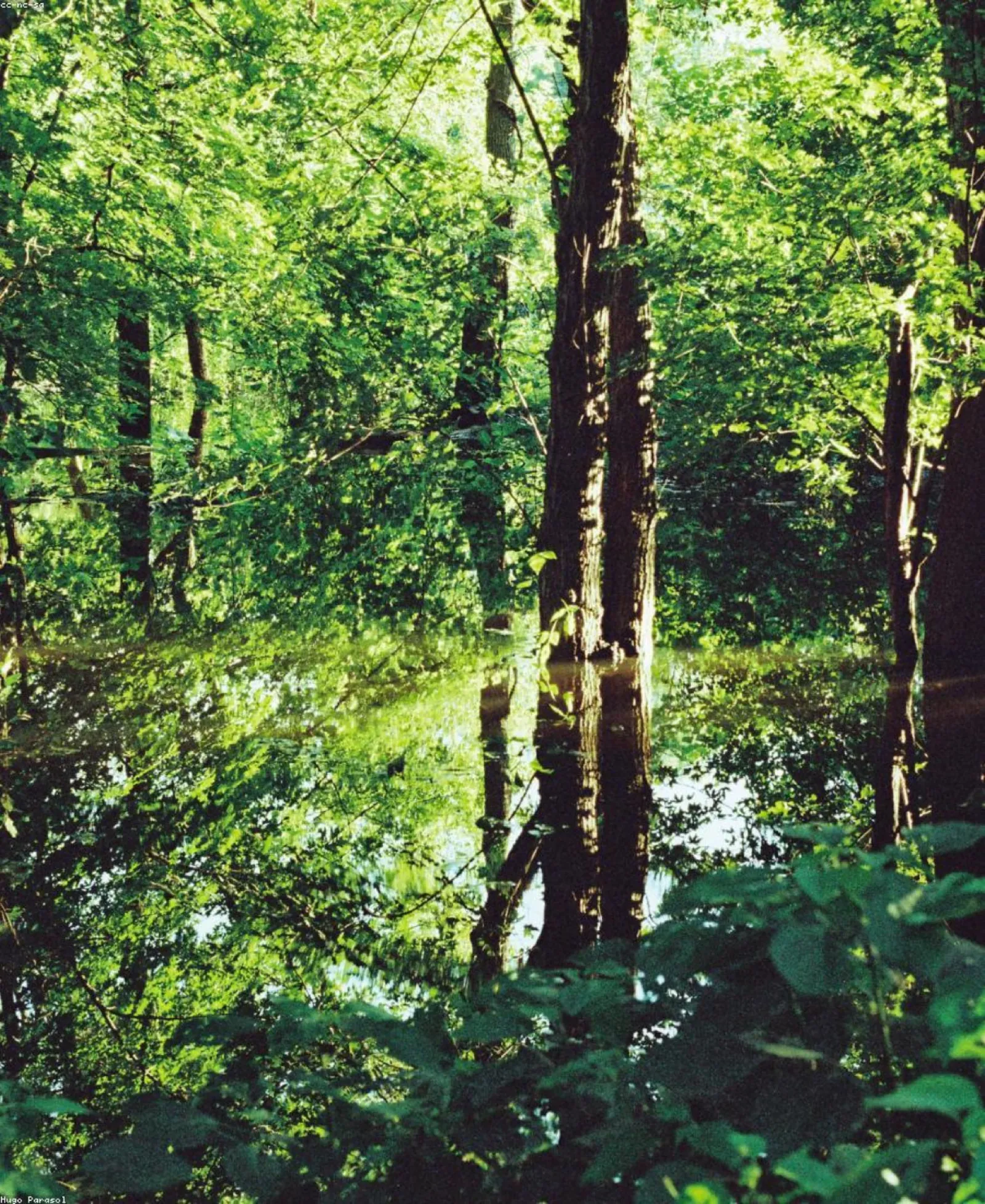 Ruhige Naturstimmung – Sinnbild für Erholung in der Praxis Avira
